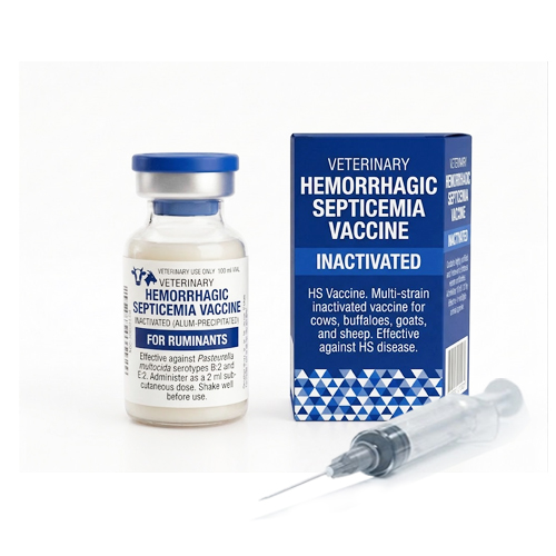 Hemorrhagic Septicemia Vaccine