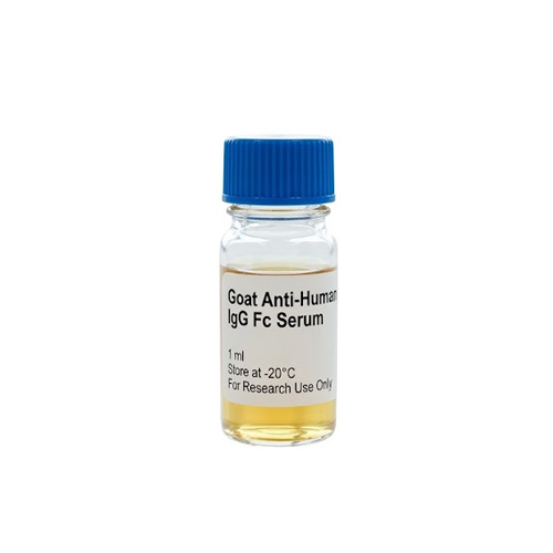 Goat Anti-Human IgG Fc Serum