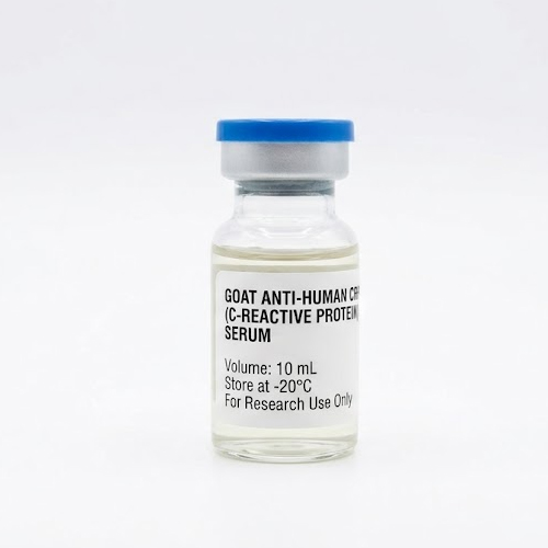Goat Anti-Human CRP (C-Reactive Protein) Serum