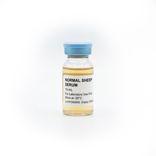 Normal Sheep Serum